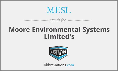 MESL - Moore Environmental Systems Limited's
