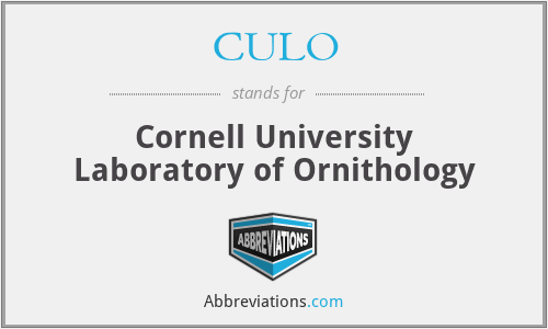 CULO - Cornell University Laboratory of Ornithology