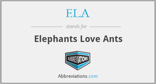 ELA - Elephants Love Ants
