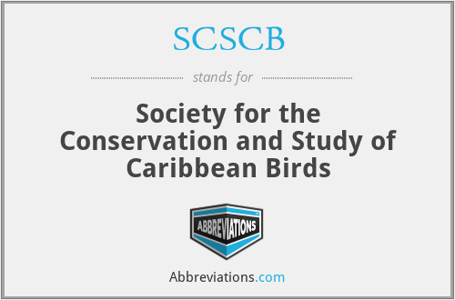 SCSCB - Society for the Conservation and Study of Caribbean Birds