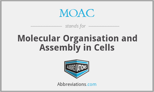 MOAC - Molecular Organisation and Assembly in Cells