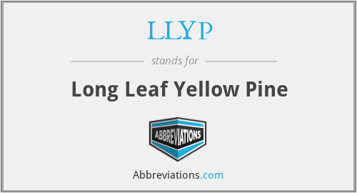 LLYP - Long Leaf Yellow Pine