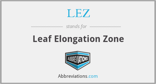 LEZ - Leaf Elongation Zone