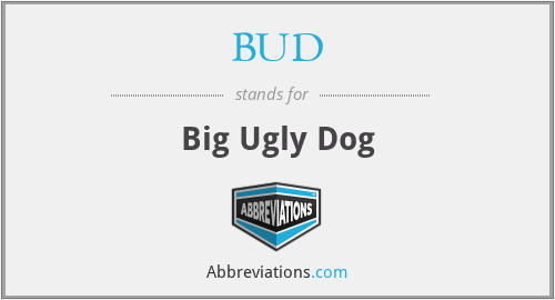 BUD - Big Ugly Dog