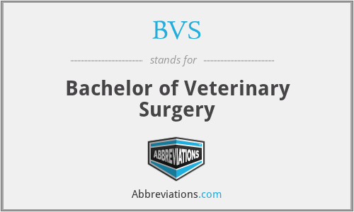 BVS - Bachelor of Veterinary Surgery