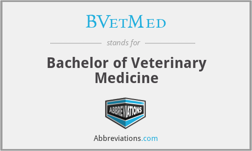 BVetMed - Bachelor of Veterinary Medicine