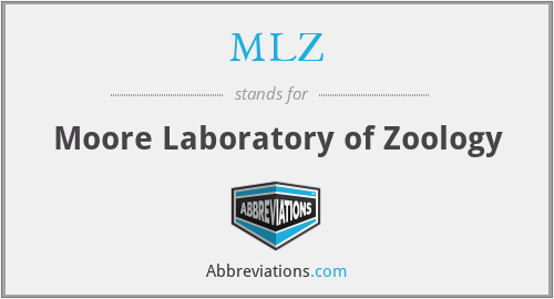 MLZ - Moore Laboratory of Zoology