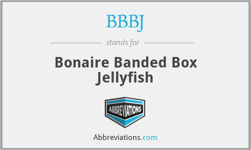 BBBJ - Bonaire Banded Box Jellyfish