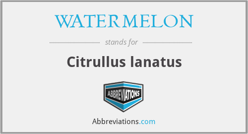 WATERMELON - Citrullus lanatus