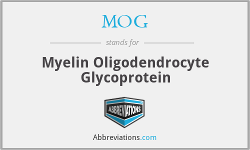 MOG - Myelin Oligodendrocyte Glycoprotein