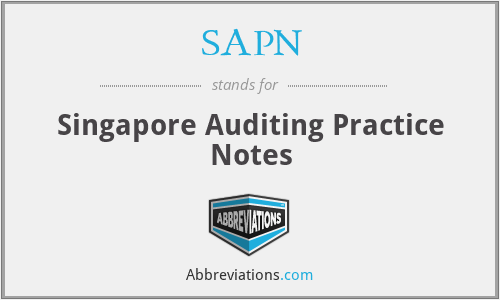 SAPN - Singapore Auditing Practice Notes