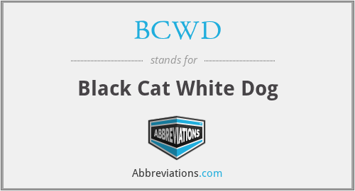 BCWD - Black Cat White Dog