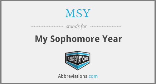 MSY - My Sophomore Year