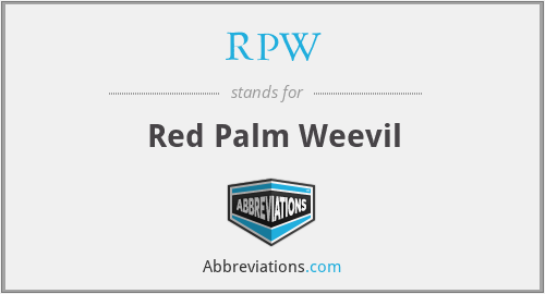 RPW - Red Palm Weevil
