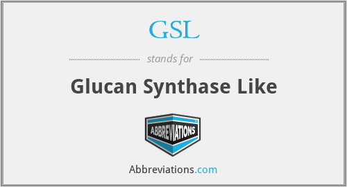 GSL - Glucan Synthase Like