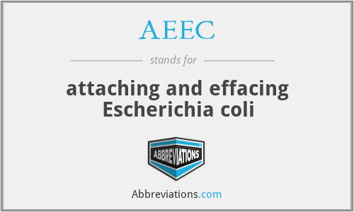 AEEC - attaching and effacing Escherichia coli