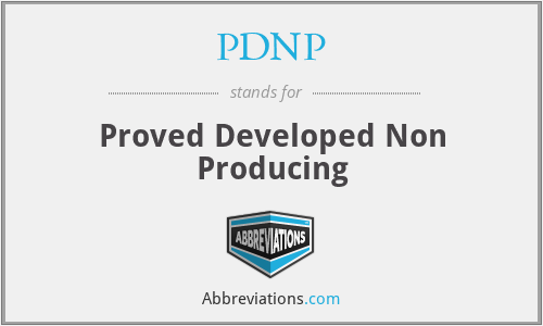 PDNP - Proved Developed Non Producing
