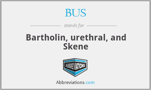 BUS - Bartholin, urethral, and Skene