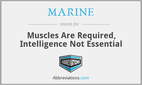 MARINE - Muscles Are Required, Intelligence Not Essential