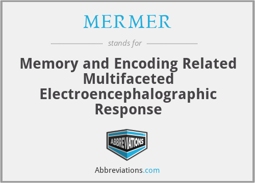 MERMER - Memory and Encoding Related Multifaceted Electroencephalographic Response