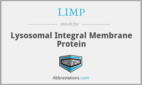 LIMP - Lysosomal Integral Membrane Protein