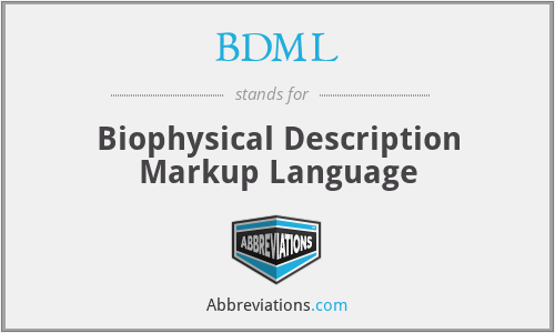 BDML - Biophysical Description Markup Language