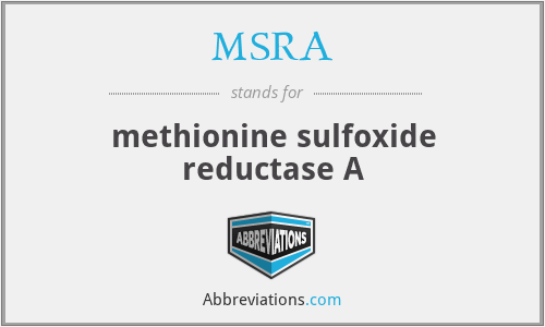 MSRA - methionine sulfoxide reductase A