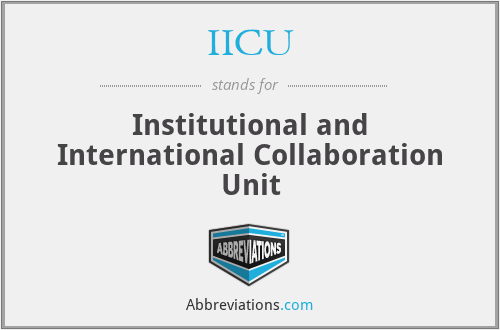 IICU - Institutional and International Collaboration Unit