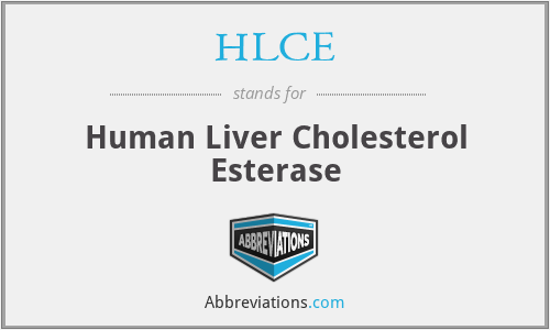 HLCE - Human Liver Cholesterol Esterase