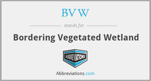 BVW - Bordering Vegetated Wetland
