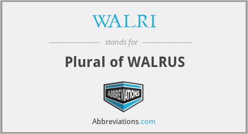 WALRI - Plural of WALRUS