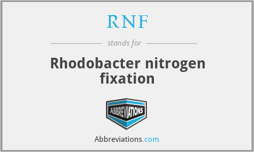 RNF - Rhodobacter nitrogen fixation