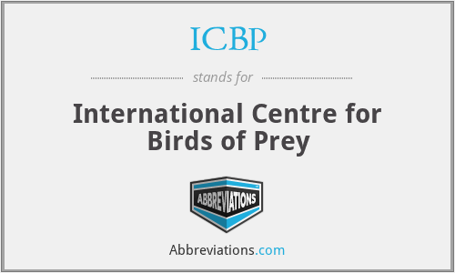 ICBP - International Centre for Birds of Prey