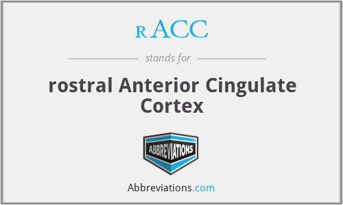 rACC - rostral Anterior Cingulate Cortex