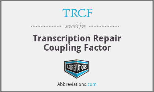 TRCF - Transcription Repair Coupling Factor