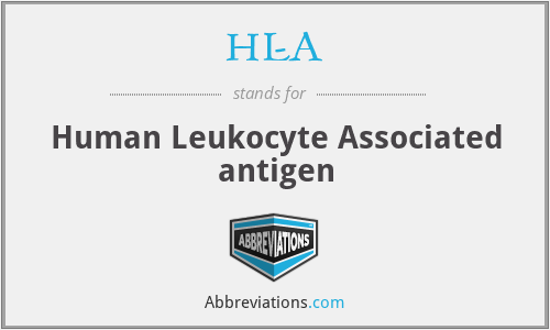 HL-A - Human Leukocyte Associated antigen