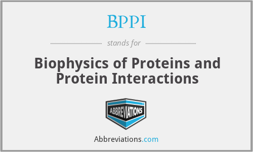 BPPI - Biophysics of Proteins and Protein Interactions