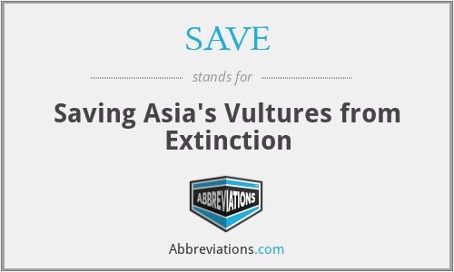 SAVE - Saving Asia's Vultures from Extinction
