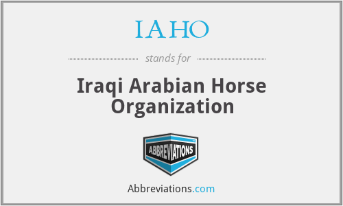 IAHO - Iraqi Arabian Horse Organization