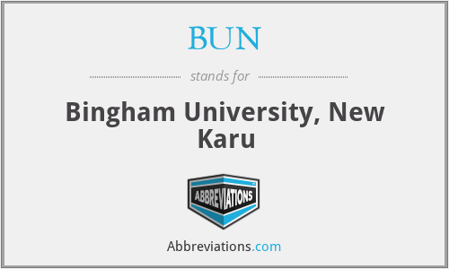 BUN - Bingham University, New Karu