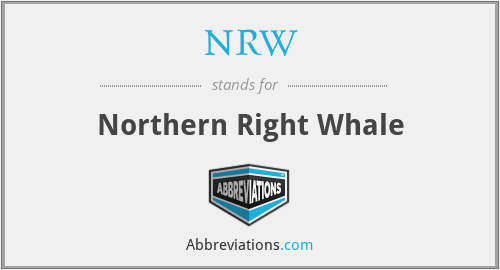 NRW - Northern Right Whale