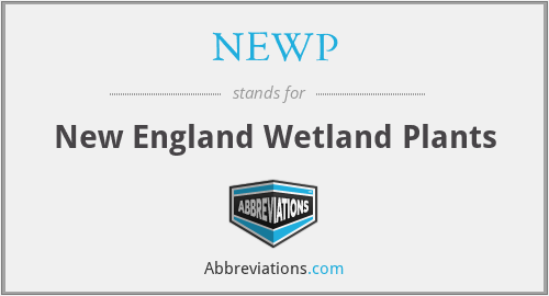 NEWP - New England Wetland Plants