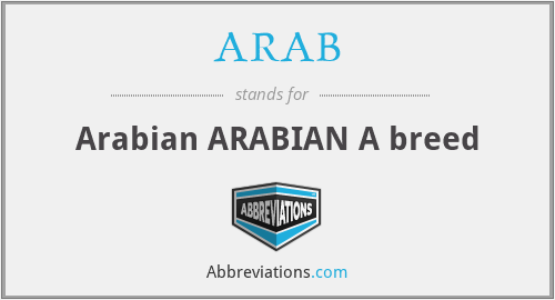 ARAB - Arabian ARABIAN A breed