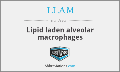 LLAM - Lipid laden alveolar macrophages