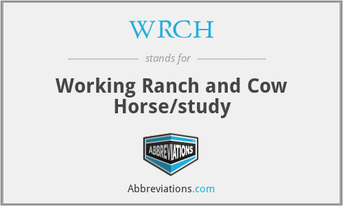 WRCH - Working Ranch and Cow Horse/study