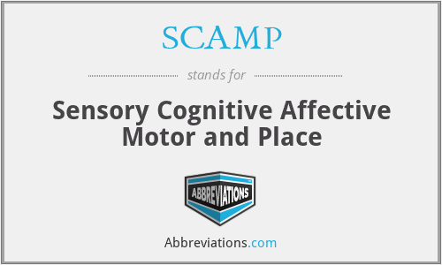 SCAMP - Sensory Cognitive Affective Motor and Place
