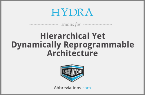 HYDRA - Hierarchical Yet Dynamically Reprogrammable Architecture