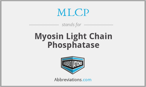 MLCP - Myosin Light Chain Phosphatase