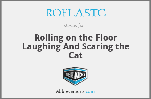 ROFLASTC - Rolling on the Floor Laughing And Scaring the Cat