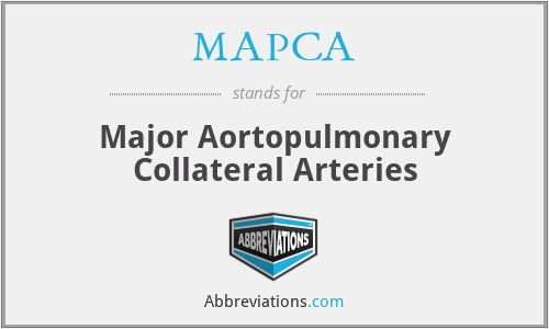 MAPCA - Major Aortopulmonary Collateral Arteries